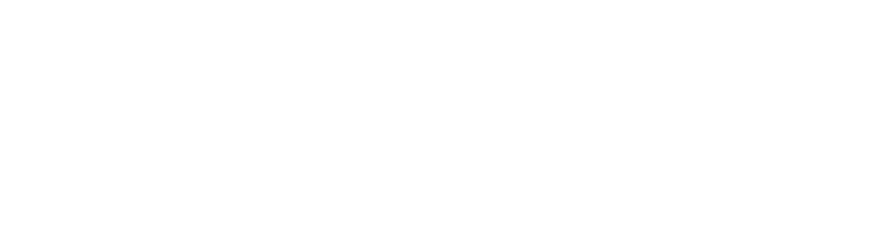 Venturi